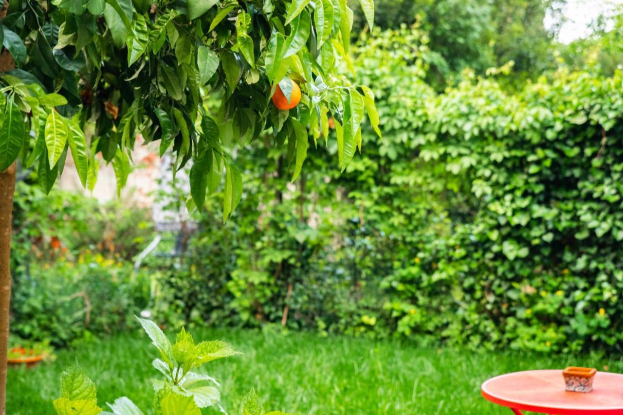 Marylou Gardenhouse * Pisa